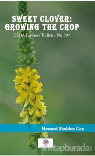 Sweet Clover: Growing the Crop